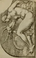 Picture 263 of 306 from Recueil d'antiquités égyptiennes, étrusques, greques et romaines (1752), leaf 652