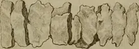 An illustration from Recueil d'antiquités égyptiennes, étrusques, greques et romaines (1752)