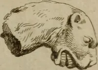 An illustration from Recueil d'antiquités égyptiennes, étrusques, greques et romaines (1752)