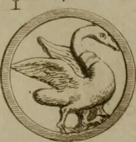 An illustration from Recueil d'antiquités égyptiennes, étrusques, greques et romaines (1752)