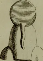 An illustration from Recueil d'antiquités égyptiennes, étrusques, greques et romaines (1752)