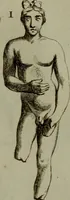 Picture 95 of 249 from Recueil d'antiquités égyptiennes, étrusques, greques et romaines (1752), leaf 238
