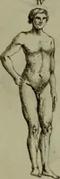An illustration from Recueil d'antiquités égyptiennes, étrusques, greques et romaines (1752)