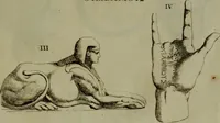 An illustration from Recueil d'antiquités égyptiennes, étrusques, greques et romaines (1752)