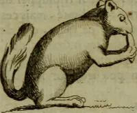 An illustration from Recueil d'antiquités égyptiennes, étrusques, greques et romaines (1752)