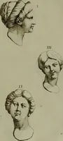 An illustration from Recueil d'antiquités égyptiennes, étrusques, greques et romaines (1752)