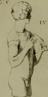 Picture 182 of 249 from Recueil d'antiquités égyptiennes, étrusques, greques et romaines (1752), leaf 456