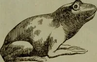 An illustration from Recueil d'antiquités égyptiennes, étrusques, greques et romaines (1752)