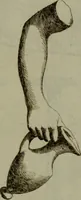 An illustration from Recueil d'antiquités égyptiennes, étrusques, greques et romaines (1752)