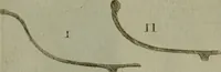 Picture 218 of 249 from Recueil d'antiquités égyptiennes, étrusques, greques et romaines (1752), leaf 578