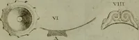 Picture 220 of 249 from Recueil d'antiquités égyptiennes, étrusques, greques et romaines (1752), leaf 578