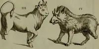An illustration from Recueil d'antiquités égyptiennes, étrusques, greques et romaines (1752)