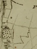 Picture 227 of 249 from Recueil d'antiquités égyptiennes, étrusques, greques et romaines (1752), leaf 590