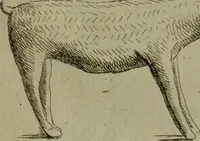 An illustration from Recueil d'antiquités égyptiennes, étrusques, greques et romaines (1752)