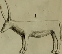 An illustration from Recueil d'antiquités égyptiennes, étrusques, greques et romaines (1752)