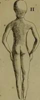 An illustration from Recueil d'antiquités égyptiennes, étrusques, greques et romaines (1752)
