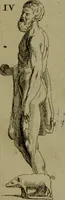 Picture 54 of 220 from Recueil d'antiquités égyptiennes, étrusques, greques et romaines (1752), leaf 220