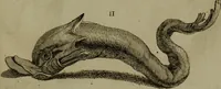 An illustration from Recueil d'antiquités égyptiennes, étrusques, greques et romaines (1752)