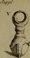 Picture 80 of 220 from Recueil d'antiquités égyptiennes, étrusques, greques et romaines (1752), leaf 276