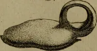 An illustration from Recueil d'antiquités égyptiennes, étrusques, greques et romaines (1752)