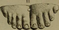 An illustration from Recueil d'antiquités égyptiennes, étrusques, greques et romaines (1752)