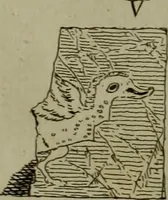 Picture 154 of 220 from Recueil d'antiquités égyptiennes, étrusques, greques et romaines (1752), leaf 394