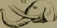 An illustration from Recueil d'antiquités égyptiennes, étrusques, greques et romaines (1752)