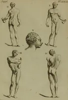 Picture 195 of 220 from Recueil d'antiquités égyptiennes, étrusques, greques et romaines (1752), leaf 526