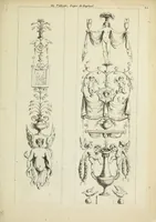 An illustration from Recueil d'antiquités romaines, ou, Voyage d'Italie : composé de 60 planches : dans lequel on trouve divers vases, autels, trepieds, arabesques et autres sujets gravés d'après les dessins que differens artistes ont fait pendant leur séjour en Italie, lesquels jusqu'à présent n'ont point encore été gravés (1771)
