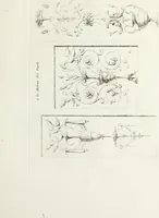 An illustration from Recueil d'antiquités romaines, ou, Voyage d'Italie : composé de 66 planches : dans lequel on trouve divers vases, autels, trépieds, arabesques, et autres sujets gravés d'après les dessins que différens artistes ont faits pendant leur séjour en Italie (1771)