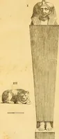 Picture 8 of 182 from Recueil d'antiquités égyptiennes, étrusques, greques et romaines (1752), leaf 116