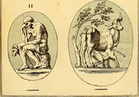 Picture 82 of 182 from Recueil d'antiquités égyptiennes, étrusques, greques et romaines (1752), leaf 298