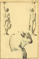 An illustration from Recueil d'antiquités égyptiennes, étrusques, greques et romaines (1752)