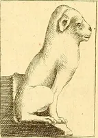 An illustration from Recueil d'antiquités égyptiennes, étrusques, greques et romaines (1752)