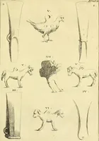 An illustration from Recueil d'antiquités égyptiennes, étrusques, greques et romaines (1752)