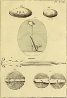 An illustration from Recueil d'antiquités égyptiennes, étrusques, greques et romaines (1752)