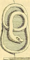An illustration from Recueil d'antiquités égyptiennes, étrusques, greques et romaines (1752)