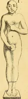 Picture 14 of 254 from Recueil d'antiquités égyptiennes, étrusques, greques et romaines (1752), leaf 108