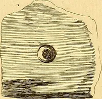 An illustration from Recueil d'antiquités égyptiennes, étrusques, greques et romaines (1752)