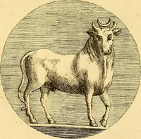 An illustration from Recueil d'antiquités égyptiennes, étrusques, greques et romaines (1752)