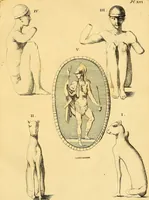 Picture 42 of 254 from Recueil d'antiquités égyptiennes, étrusques, greques et romaines (1752), leaf 180
