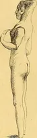 An illustration from Recueil d'antiquités égyptiennes, étrusques, greques et romaines (1752)