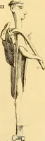 Picture 66 of 254 from Recueil d'antiquités égyptiennes, étrusques, greques et romaines (1752), leaf 254