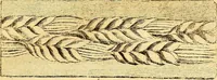 Picture 86 of 254 from Recueil d'antiquités égyptiennes, étrusques, greques et romaines (1752), leaf 278