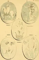 Picture 90 of 254 from Recueil d'antiquités égyptiennes, étrusques, greques et romaines (1752), leaf 450