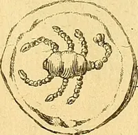 An illustration from Recueil d'antiquités égyptiennes, étrusques, greques et romaines (1752)