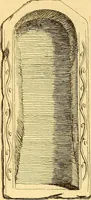 Picture 210 of 254 from Recueil d'antiquités égyptiennes, étrusques, greques et romaines (1752), leaf 692