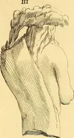 An illustration from Recueil d'antiquités égyptiennes, étrusques, greques et romaines (1752)