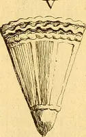An illustration from Recueil d'antiquités égyptiennes, étrusques, greques et romaines (1752)