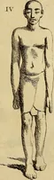 An illustration from Recueil d'antiquités égyptiennes, étrusques, greques et romaines (1752)